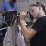 article image - _DSC7657